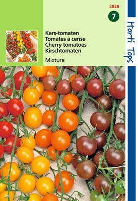 Tomaten Cherry 4 kleuren - Hortitops