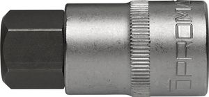 Promat Dopsleutelbit | 1/2 inch binnen-6-kant | sleutelwijdte 19 mm | lengte 55 mm - 4000821414 4000821414