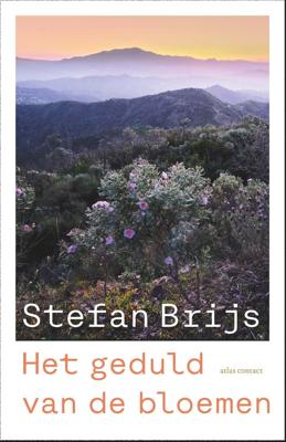 Het geduld van de bloemen - Stefan Brijs - ebook
