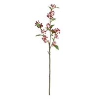 Kunst Malus Sargentii tak 75cm - rood