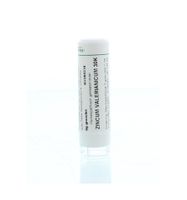 Zincum valerianicum 30K