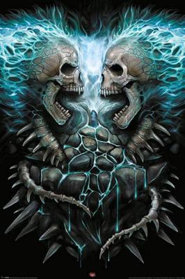 Poster Spiral Flaming Spine 61x91,5cm