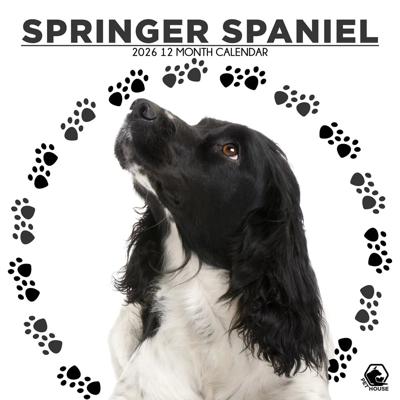 Springer Spaniel Kalender 2026 Springer Spaniel Kalender 2026