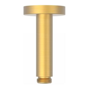 Douchearm Tres Exclusive | 10 cm | Plafond montage | Messing | Rond | 24k Goud mat