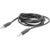 Austrian Audio MCC2 MiCreator Link Cable kabel voor MiCreator microfoons