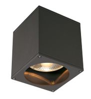 Plafondlamp BIG THEO CEILING OUT antraciet 1xGU10