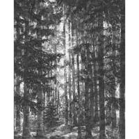Fotobehang - Lustres Lapland 200x250cm - Vliesbehang - thumbnail