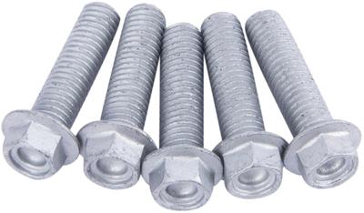 TRW bouten set screw set 5pcs. m8x1,25