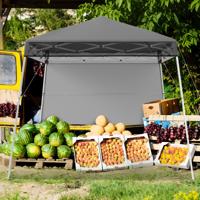 Paviljoen 2 x 2 m Pop-up Vouwpaviljoen Hoogteverstelbaar met Zijwand & Bodemhaak Waterdicht & Zonnebescherming Partytent Tuinpaviljoen Grijs