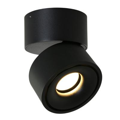 Steinhauer Strakke opbouwspotFez Black zwart - 2673ZW