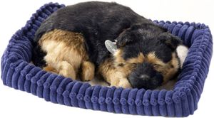 Perf Perfect petzzz soft duitse herder