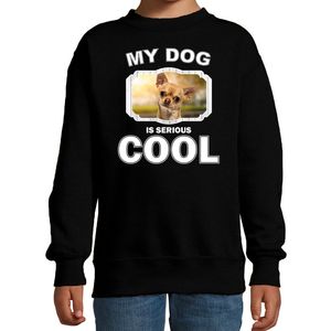 Chihuahua honden trui / sweater my dog is serious cool zwart voor kinderen