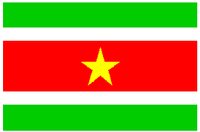 Vlag Suriname 90x150 cm