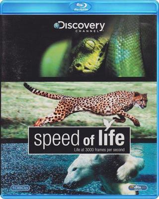 Speed of Life