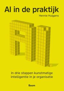 AI in de praktijk (Paperback)