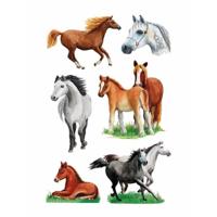Paarden stickers - 3x vellen - 16x9 cm - dieren stickervel