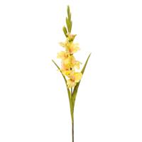 Gladiolus spray - thumbnail