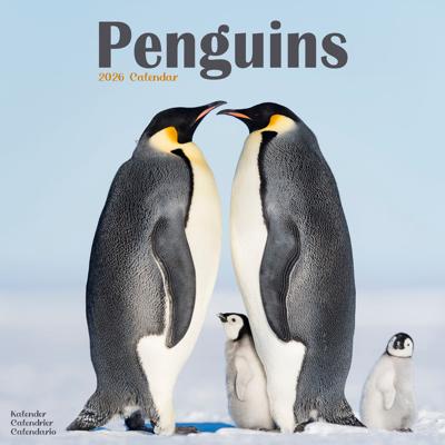 Pinguin Kalender 2026