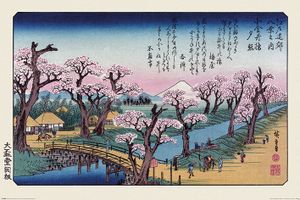 Hiroshige Mount Fuji Koganei-brug Poster 61x91.5cm