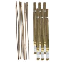 Gerimport Plantenstokken - 60x stuks - 60 cm - plantensteun / tonkinstokken