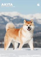 Akita A3 Kalender 2026