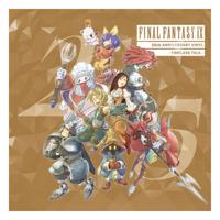 Final Fantasy Vinyl Timeless Tale 25th Anniversary Final Fantasy Vinyl Timeless Tale 25th Anniversary
