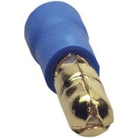 Sinuslive Car-Hifi bol kabelschoen Set van 10 stuks 2.5 mm² 4 mm Verguld