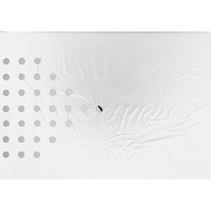 Nature universele kweekfolie zwart/zilver 0.95x5 m