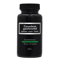 Apb Holland Canadese geelwortel 480mg puur