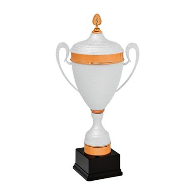Sportprijzen Leiden Sportprijs AX9100