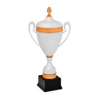 Sportprijzen Leiden Sportprijs AX9100