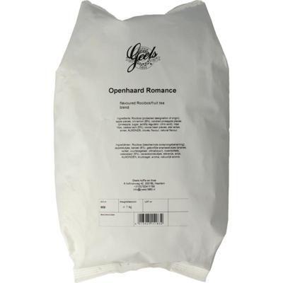 Geels openhaard romance