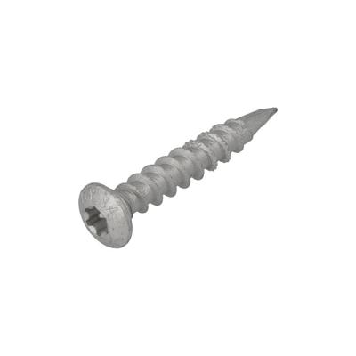 Dynaplus Paalhouderschroef Ar-Silver Ovk Tx-4