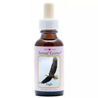 Animal Essences Eagle (adelaar) 30 Milliliter