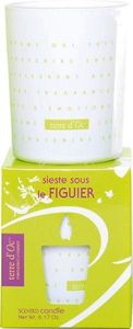 Terre Doc Siesta under fig tree geurkaars (175 gr)