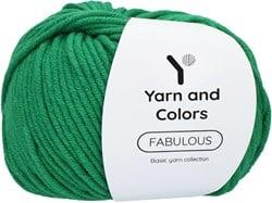 Yarn and Colors Fabulous 087 Amazon