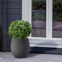 Buxus bol deluxe kunstplant 50cm - UV bestendig