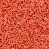 Goji bessen (bio) 20 kg doos