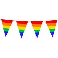 Boland PE vlaggenlijn - 8m - Regenboog - Universeel Thema   -