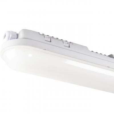 LED TL waterdicht armatuur 4800 lumen 40W 120cm 4000K ip65