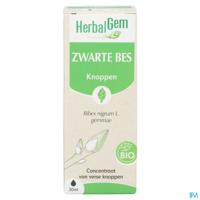 Herbalgem Zwarte Bes Bio 30ml