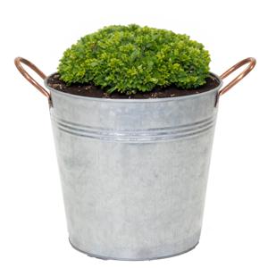 Mega Collections&amp;nbsp;Emmer/plantenpot Jean - zink - zilver - D25 X H21 cm   -