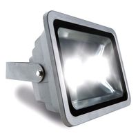 Schwabe LED Straler 80W