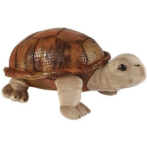 Pluche knuffel dieren Land Schildpad van 32 cm