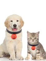 Halloween Pumpkin Bell Collar Decoration Dog Cat Necklace - thumbnail
