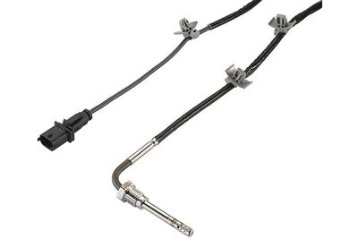 Sensor, uitlaatgastemperatuur A2C59507506Z