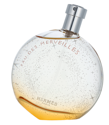 Hermès - Hermes Eau Des Merveilles Eau de toilette Spray 100 ml Dames