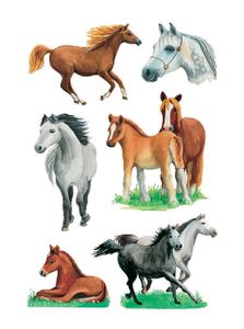 HERMA DECOR stickers horse races 3 sheets etiket