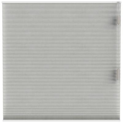 Leen Bakker - Fenstr Plisségordijn Sidney Dubbel 25mm Transparant - Linnen (25513) - Polyester - Grijs - 120x10x10 Cm