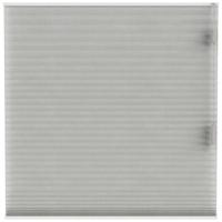 Leen Bakker - Fenstr Plisségordijn Sidney Dubbel 25mm Transparant - Linnen (25513) - Polyester - Grijs - 120x10x10 Cm